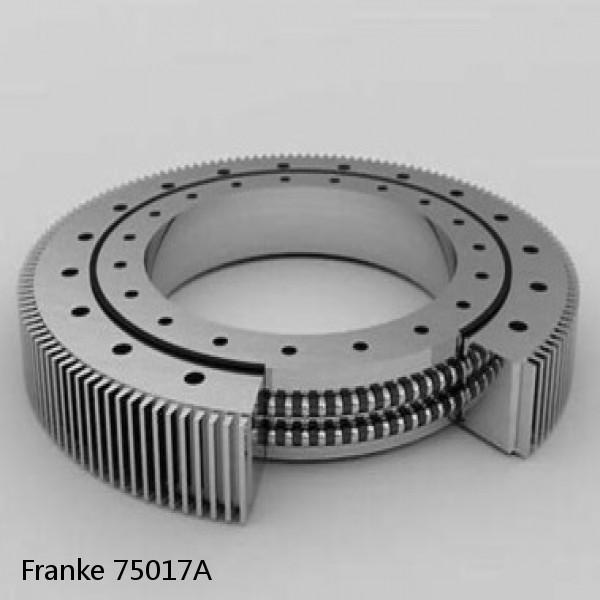 75017A Franke Slewing Ring Bearings