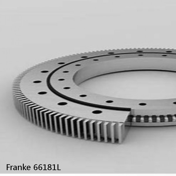 66181L Franke Slewing Ring Bearings