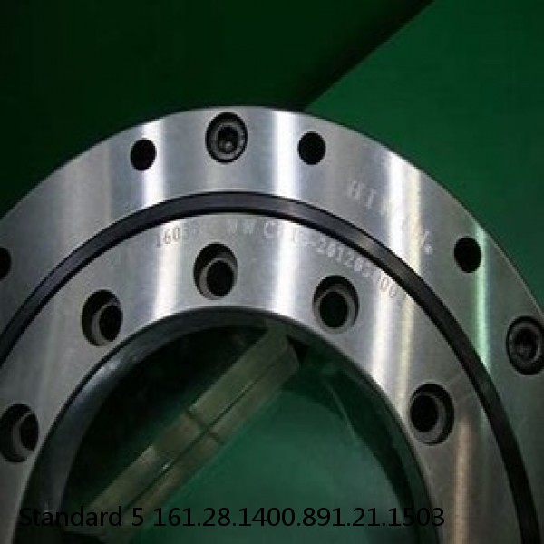 161.28.1400.891.21.1503 Standard 5 Slewing Ring Bearings