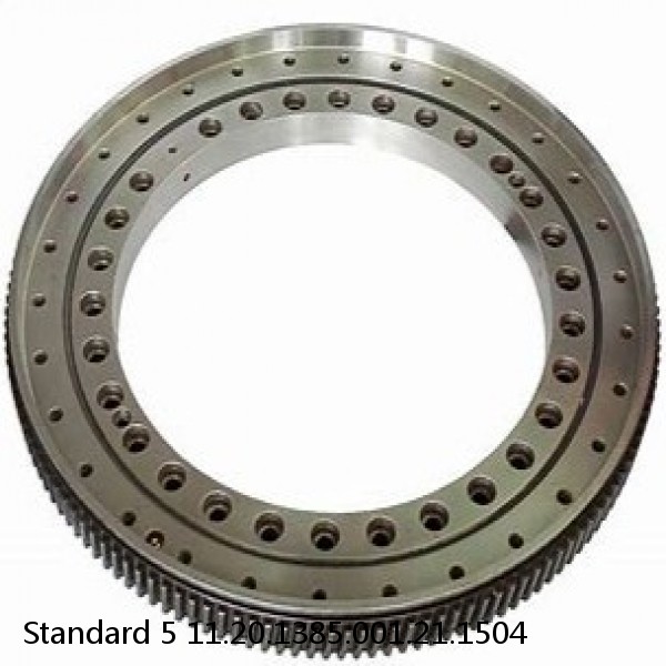 11.20.1385.001.21.1504 Standard 5 Slewing Ring Bearings