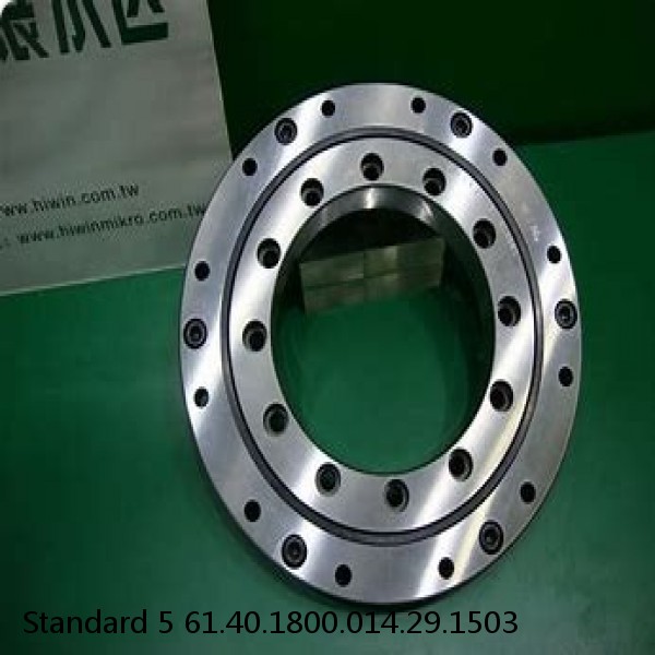 61.40.1800.014.29.1503 Standard 5 Slewing Ring Bearings