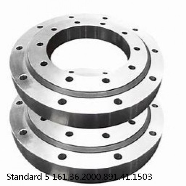 161.36.2000.891.41.1503 Standard 5 Slewing Ring Bearings