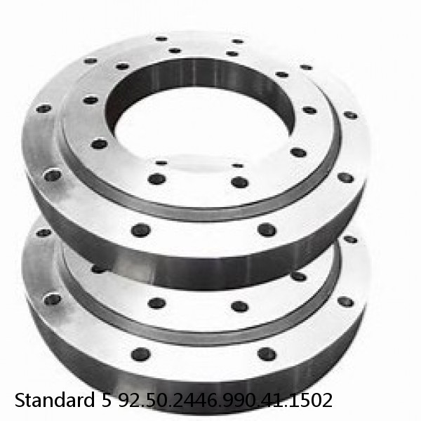 92.50.2446.990.41.1502 Standard 5 Slewing Ring Bearings