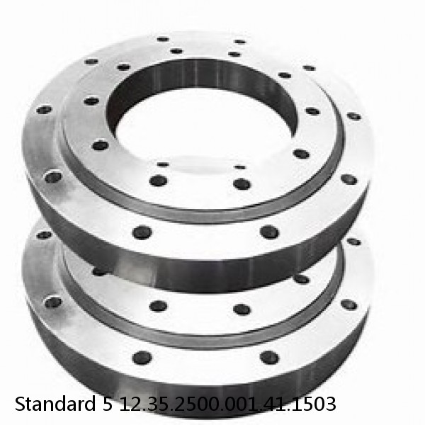 12.35.2500.001.41.1503 Standard 5 Slewing Ring Bearings