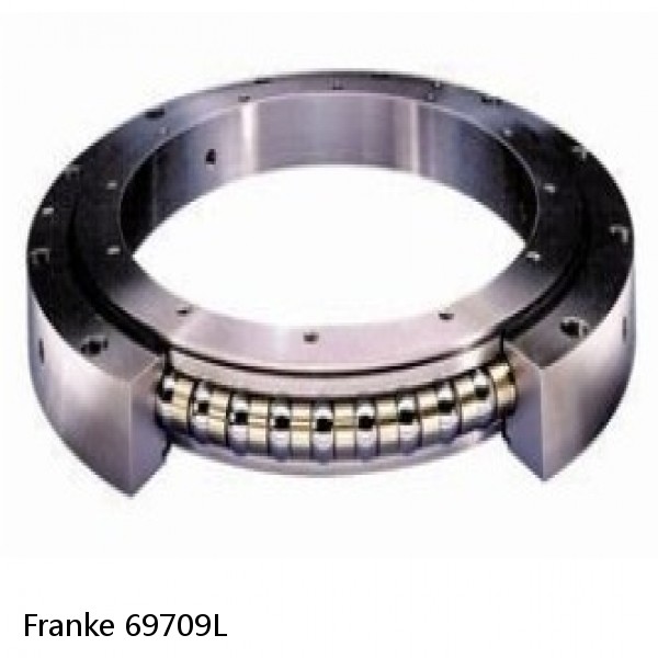 69709L Franke Slewing Ring Bearings