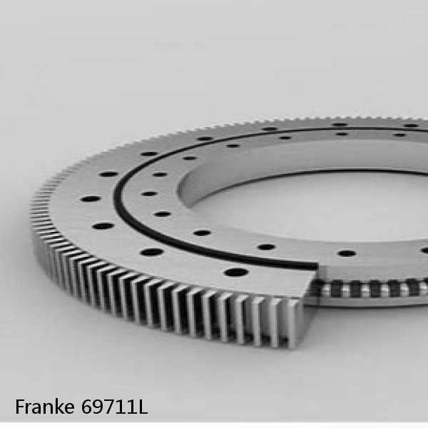 69711L Franke Slewing Ring Bearings