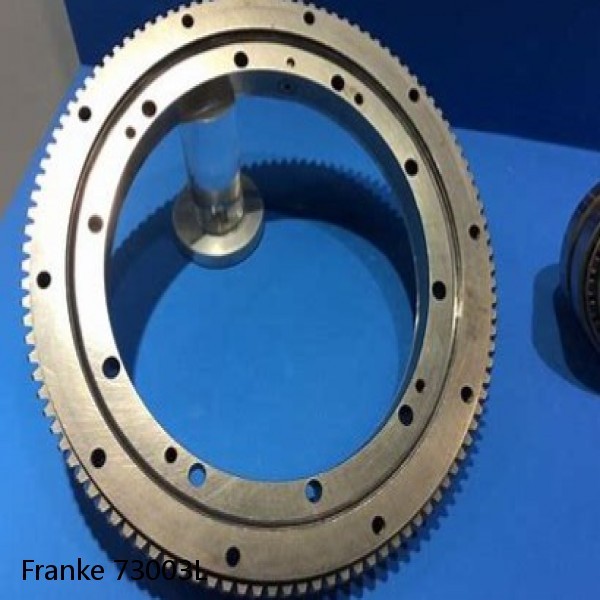 73003L Franke Slewing Ring Bearings