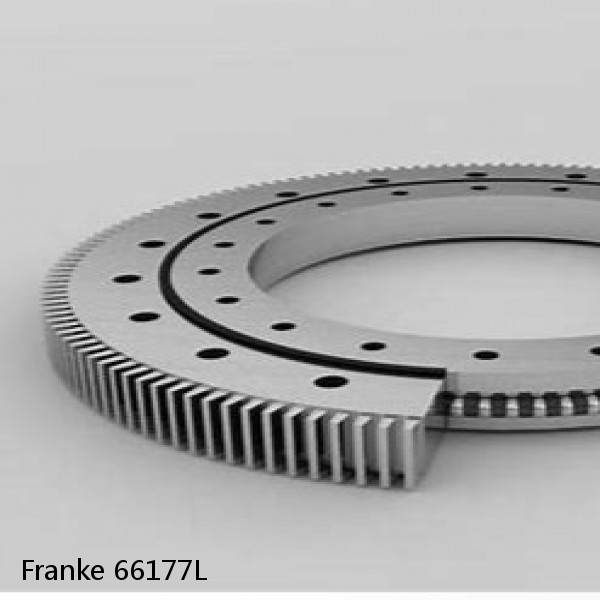 66177L Franke Slewing Ring Bearings