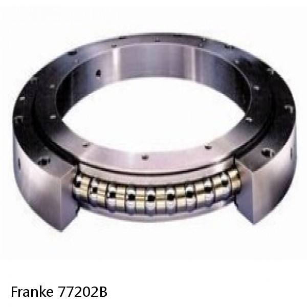 77202B Franke Slewing Ring Bearings