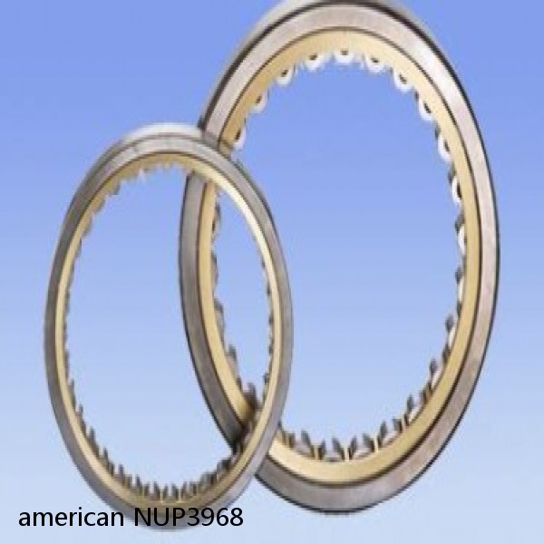 american NUP3968 SINGLE ROW CYLINDRICAL ROLLER BEARING
