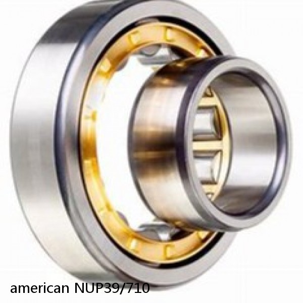 american NUP39/710 SINGLE ROW CYLINDRICAL ROLLER BEARING