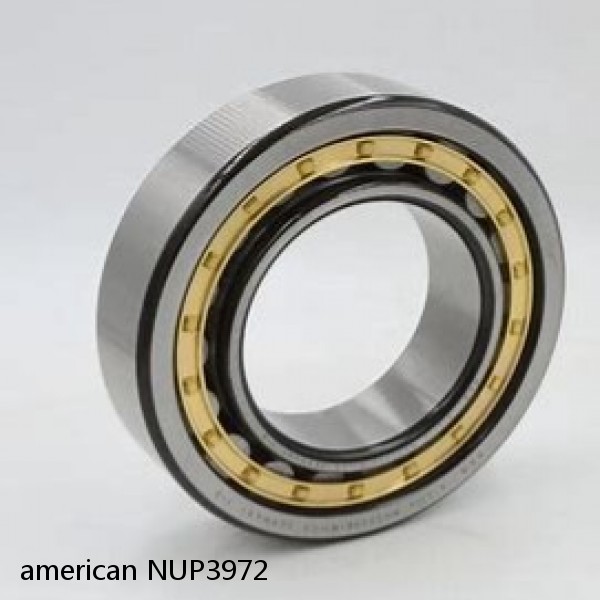 american NUP3972 SINGLE ROW CYLINDRICAL ROLLER BEARING