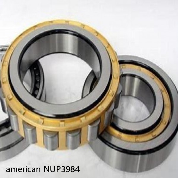 american NUP3984 SINGLE ROW CYLINDRICAL ROLLER BEARING