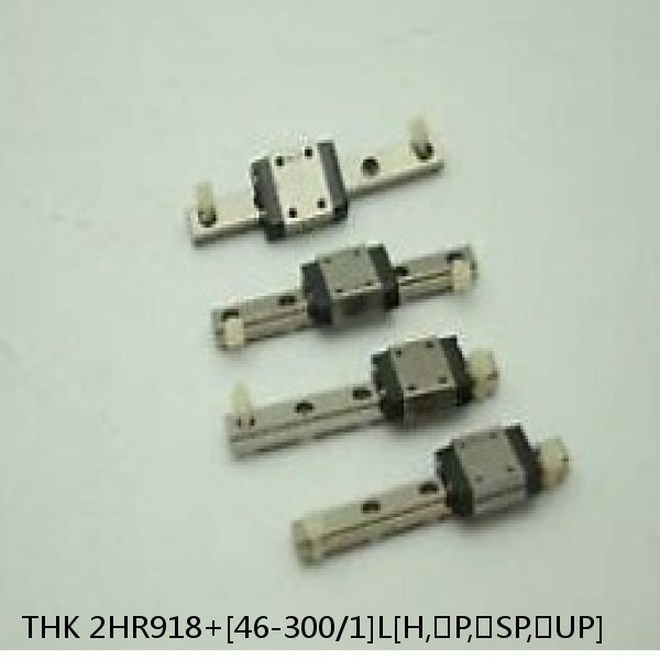 2HR918+[46-300/1]L[H,​P,​SP,​UP] THK Separated Linear Guide Side Rails Set Model HR